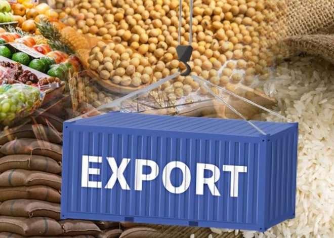 Best Countries For Food Exports: Top Picks Revealed