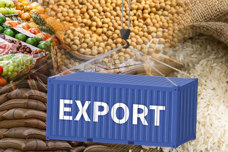 Best Countries For Food Exports: Top Picks Revealed